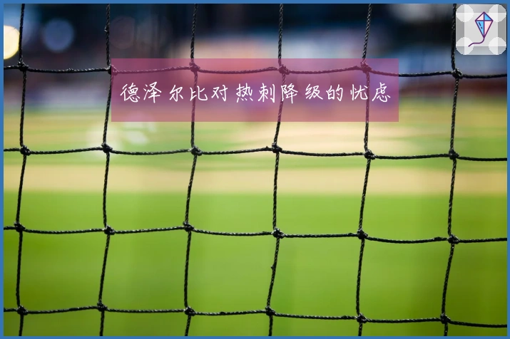 德泽尔比对热刺降级的忧虑
